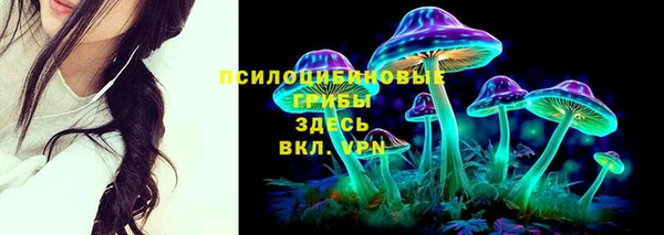 стаф Волосово