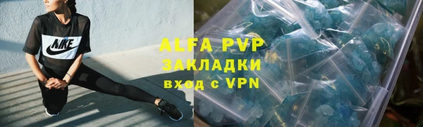 стаф Волосово