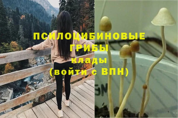 стаф Волосово