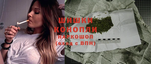 стаф Волосово