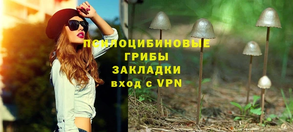 стаф Волосово