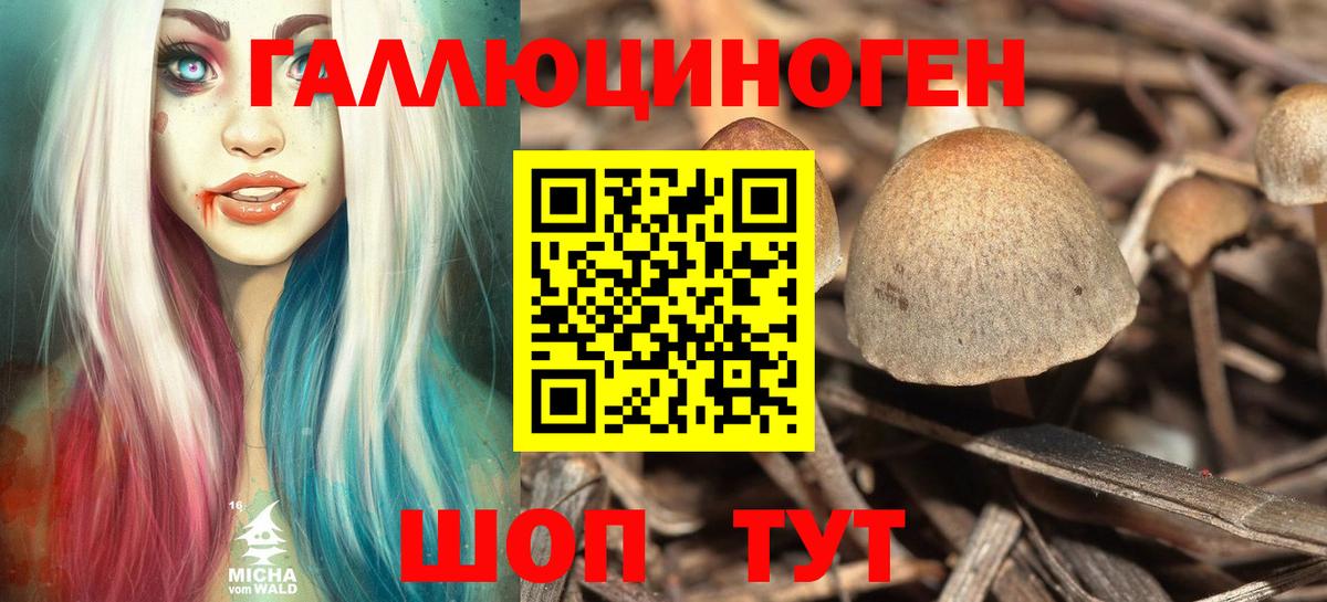 Галлюциногенные грибы ЛСД Раменское