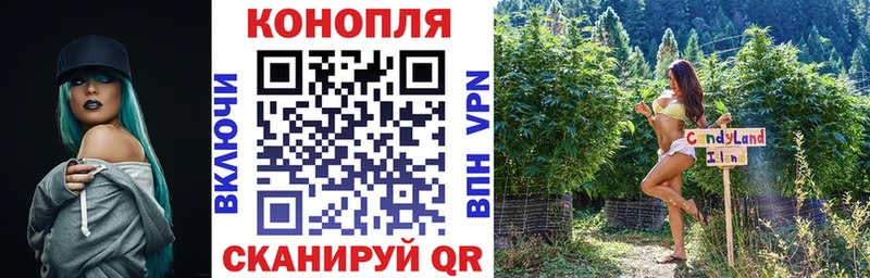 магазин продажи   Раменское  Канабис индика 